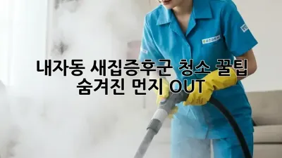 내자동 새집증후군 청소 꿀팁 🏡✨: 숨겨진 먼지 OUT!
