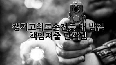 캥거고휘도손전등🔦 내 밤길 책임져줄 ✨단짝템✨